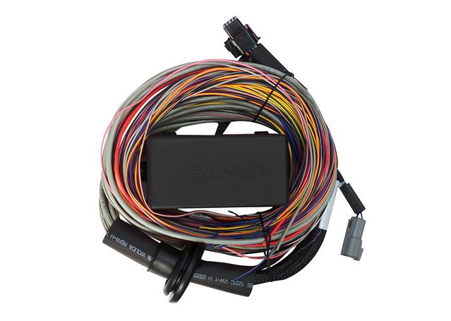 Haltech Elite 750 Premium Universal Wire-in Harness 2.5m