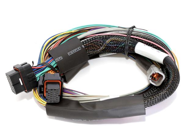 Haltech HT-140802 Elite 1000 2.5m Basic Universal Wire-in