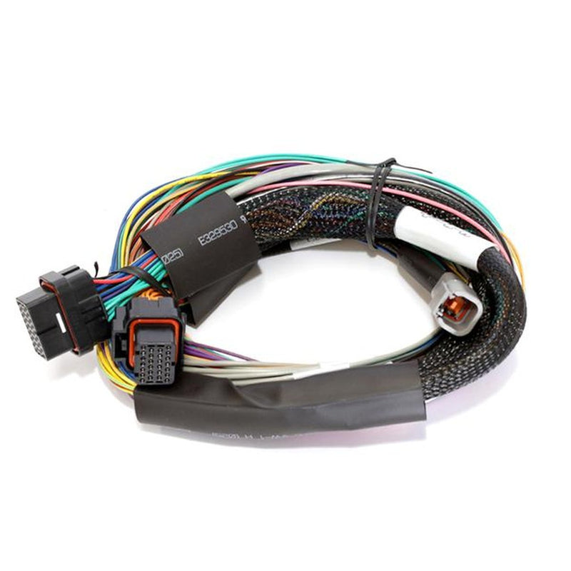 Haltech HT-140902 Elite 1500 2.5m Basic Universal Wire-in