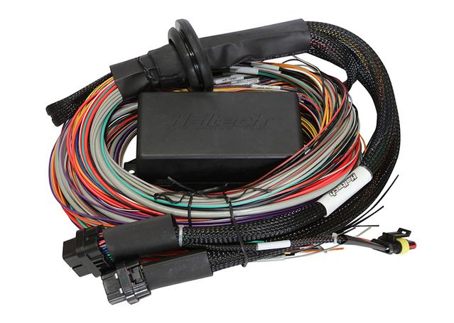 Haltech HT-141204 Elite 2000 2.5m Premium Universal