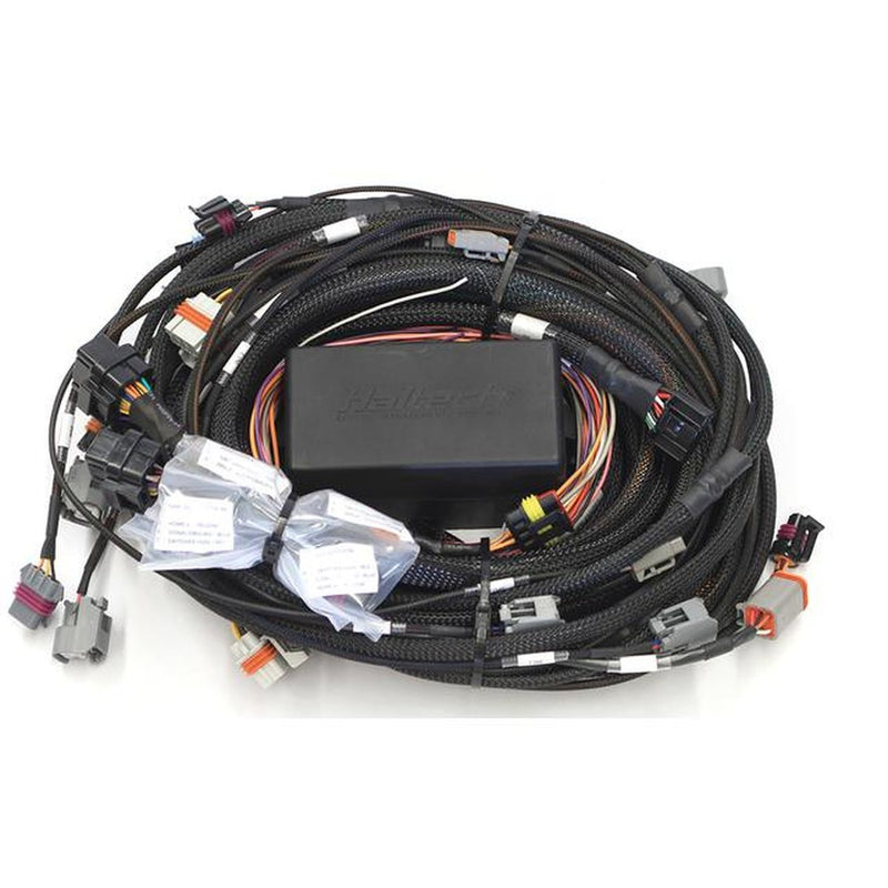 Haltech Elite 2000/2500 GM GEN IV LSx (LS2/LS3 etc) non