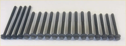 Head Gasket Bolts for Ford Ranger Everest Mazda BT50 3.0 CDVi TDCi - Gaskets