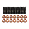 Set of black high tensile bolts and copper hex nuts for mitsubishi triton mr 4n14 turbo charger stud kit arranged in two rows