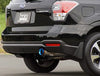 HKS LEGAMAX Premium FORESTER FB20 (NA) DBA-SJ5