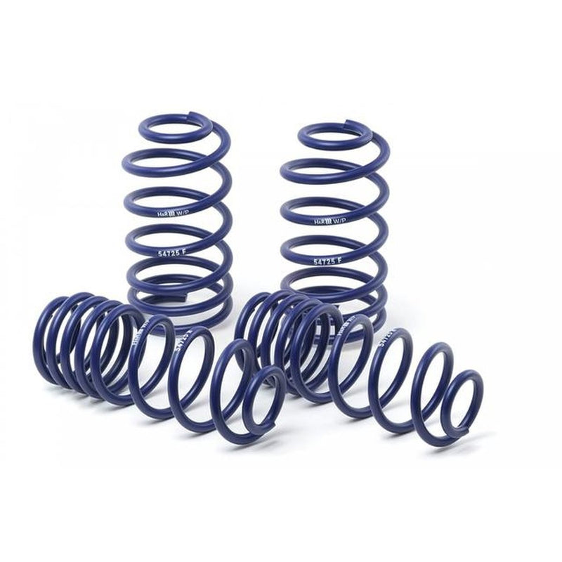 H&R Sport Springs fits BMW 3 Series Wagon E91