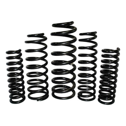 EFS Coil Springs Rear (Pajero 00-11)