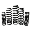 EFS Coil Springs Rear (Landcruiser 105 Series 98-07)