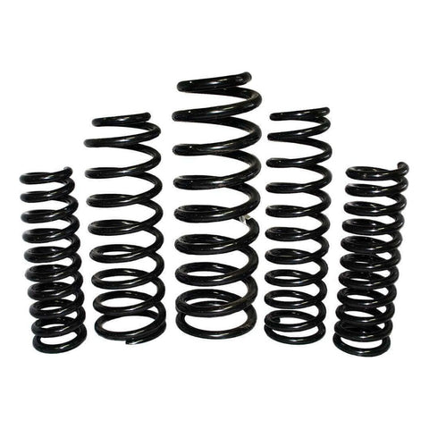 EFS Coil Springs Rear (Maverick 88-94)