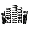 EFS Coil Springs Rear (Landcruiser 07+)