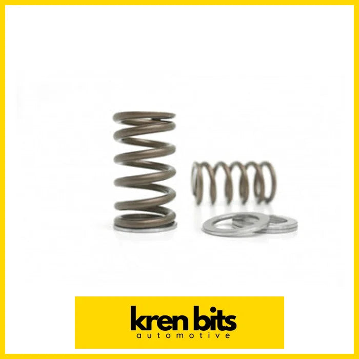 Kvs02 Valve Spring Set