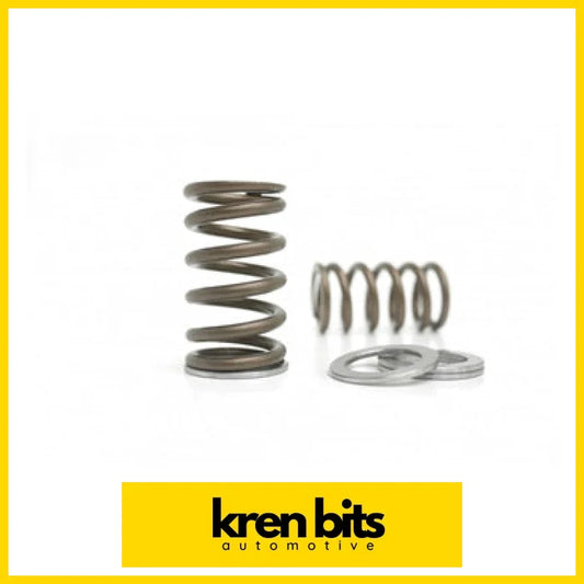 Kvs02 Valve Spring Set