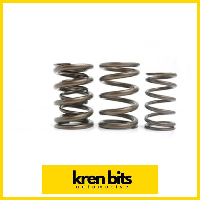 Kvs10 Valve Spring Set