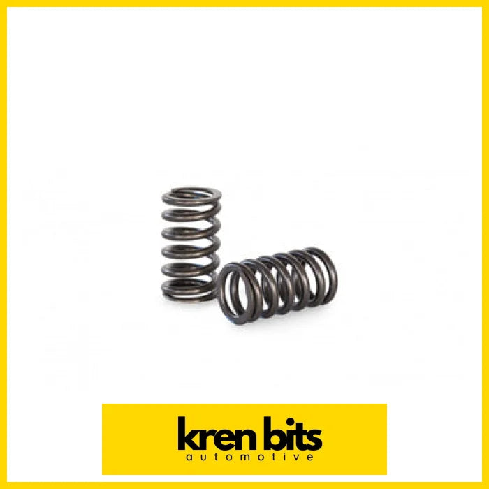 Kvs101-16 Valve Spring Set