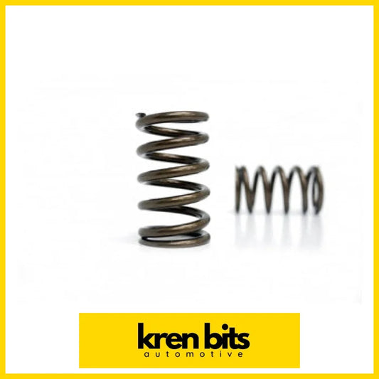 Kvs109-3S Valve Spring Set