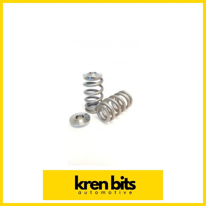 Kvs11-Bt Valve Spring Set