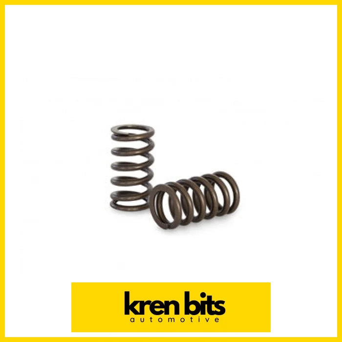 Kvs11 Valve Spring Set