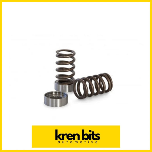 Kvs12 Valve Spring Set