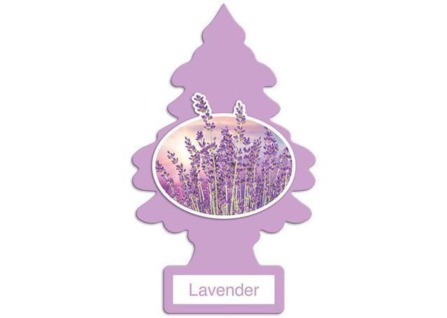 Little Trees Car Air Freshener Lavender 10 Pack