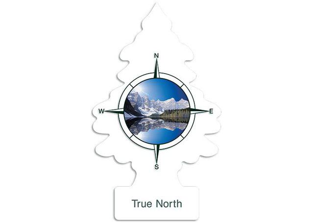 Little Trees Car Air Freshener True North 10 Pack