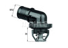 Mahle Thermostat & Housing TI 181 89