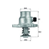 Mahle Thermostat TM 11 105