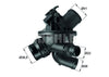 Mahle Thermostat & Housing TM 21 97