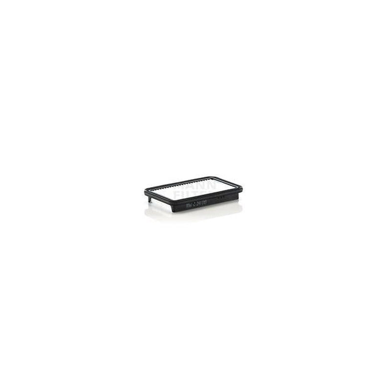 Mann Air Filter C24019