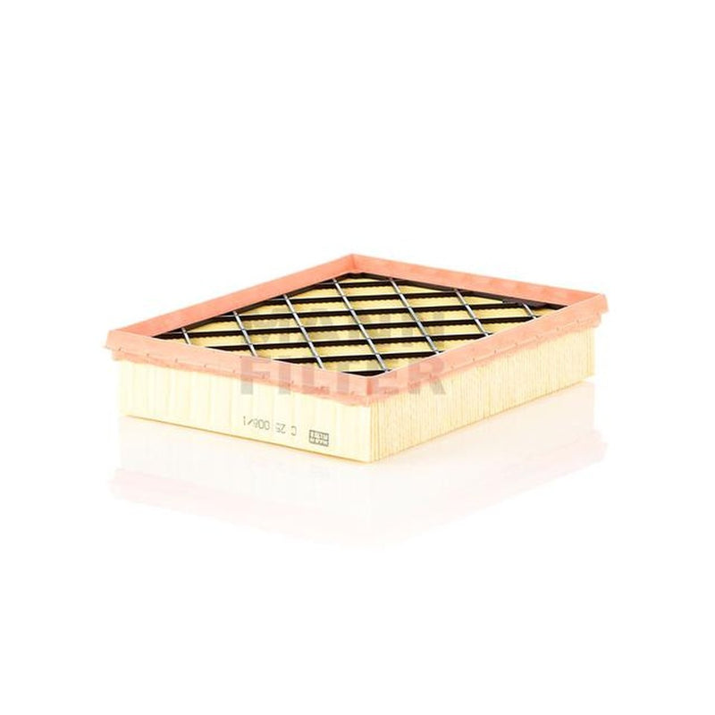Mann Air Filter C25008/1