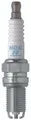 NGK NGK Single Platinum Spark Plug Box of 4 (DCPR8EKP)