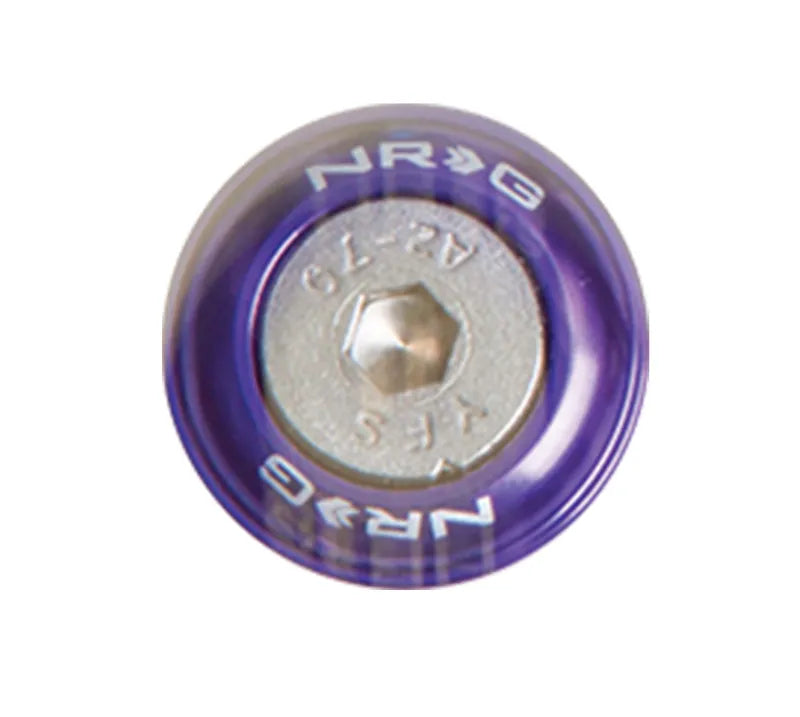 NRG NRG Fender Washer Kit w/Rivets For Metal (Purple) - Set of 10