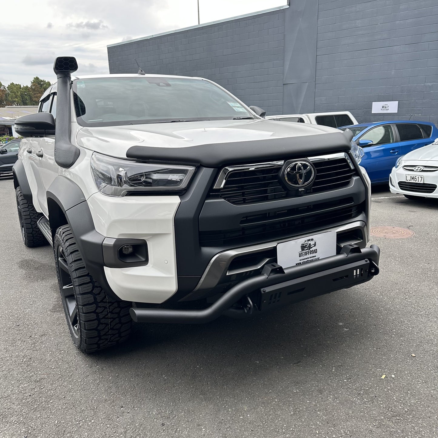 Nudge bar(Compatible Front Camera and Sensors) Lower style for Toyota