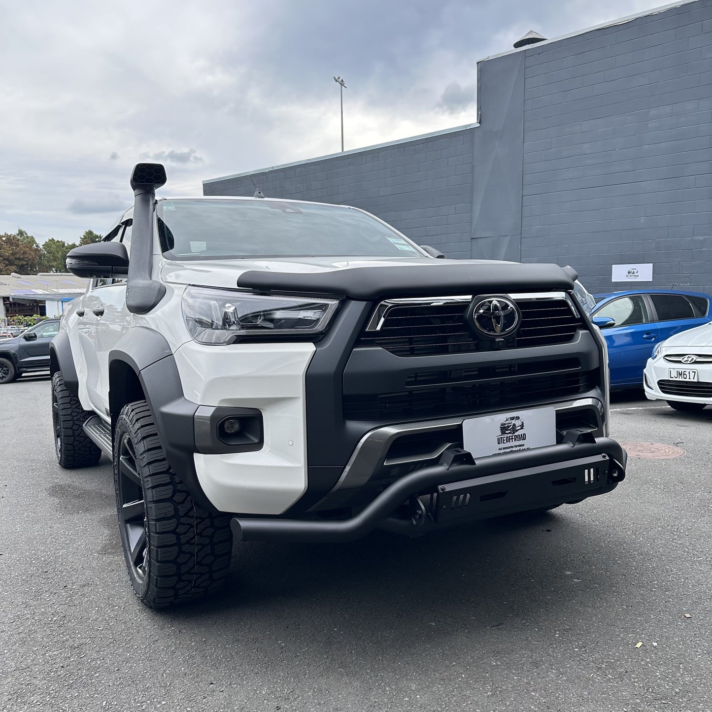 Nudge bar(Compatible Front Camera and Sensors) Lower style for Toyota