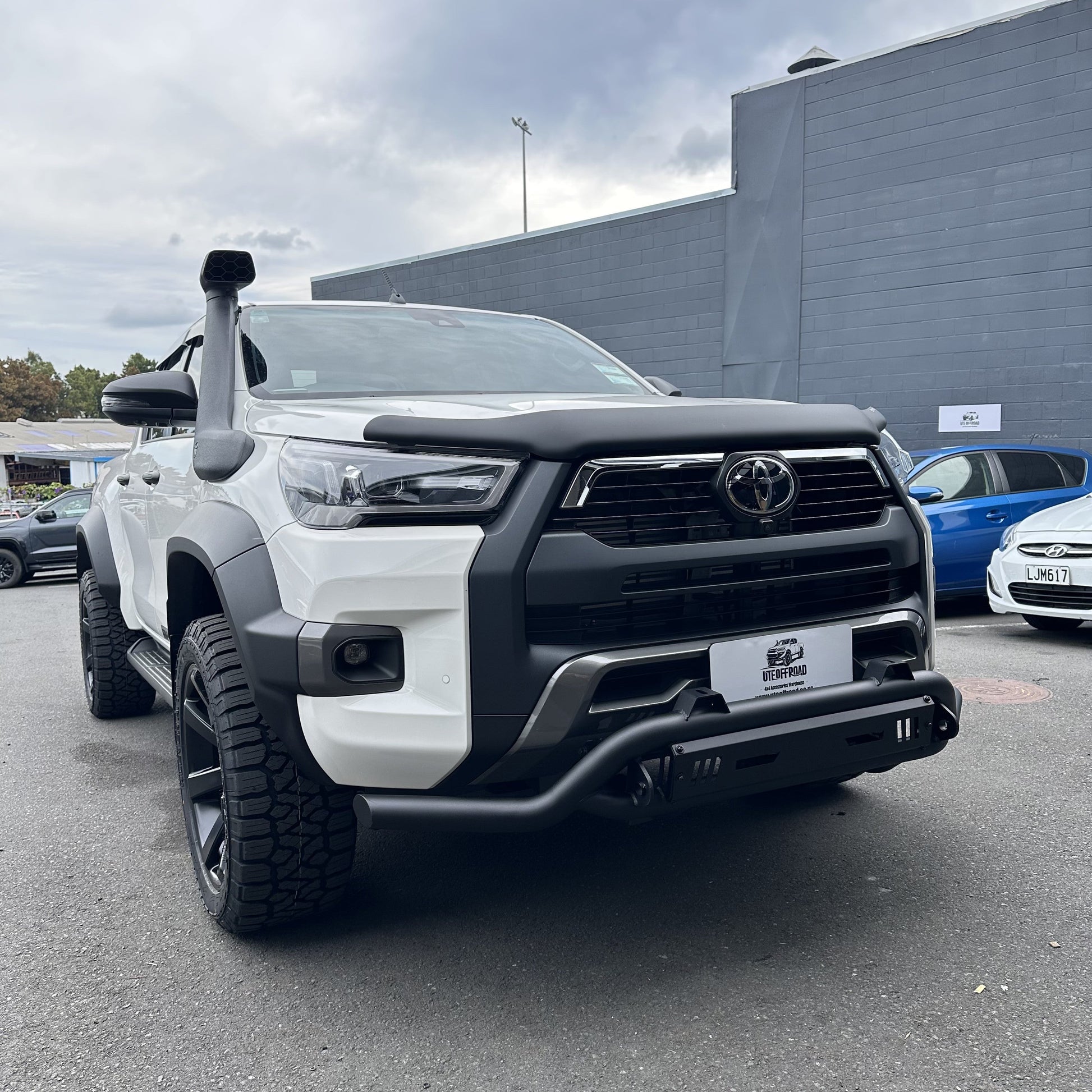 Nudge bar(Compatible Front Camera and Sensors) Lower style for Toyota