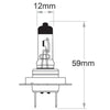 OEX H7 Globe 12V 55W Long Life GLX16075