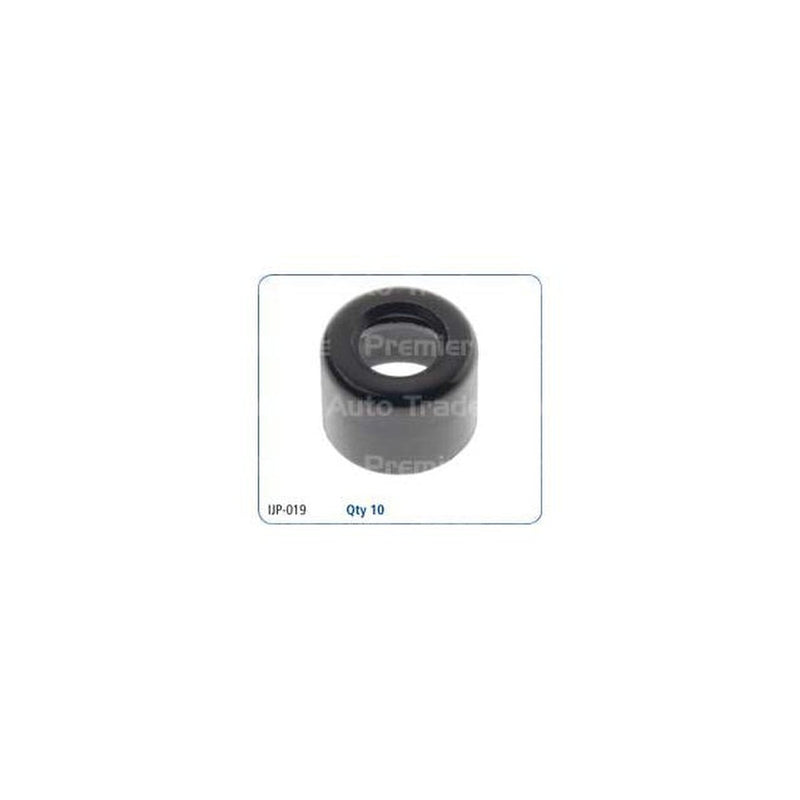 PAT Pintle Cap (10 Pack) IJP-019