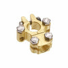Projecta Premium Forged Brass Battery Terminal Heavy Duty