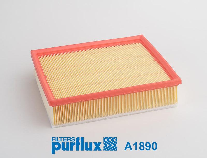 Purflux Air Filter 254x315x65mm A1890