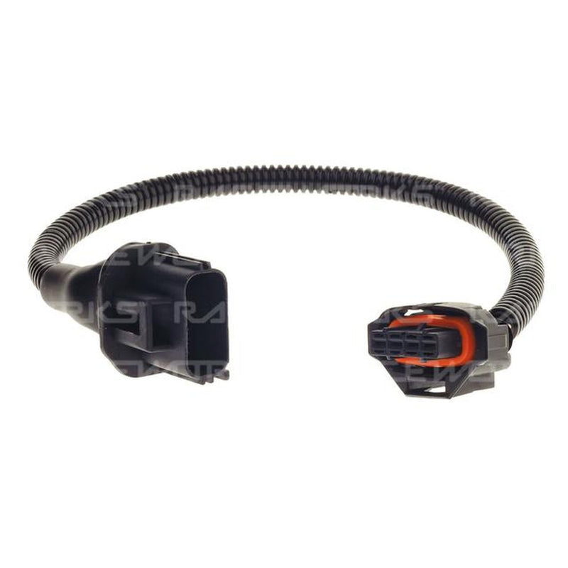 Raceworks BA/BF Map Conversion Loom (Non Turbo To Turbo)
