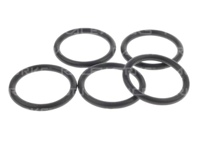 Raceworks E85 Safe O-Rings An-12 5Pk
