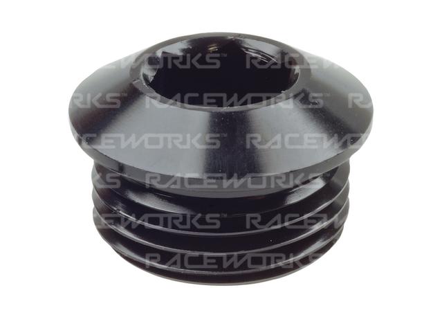 Raceworks An In Hex O-Ring Plug An-3