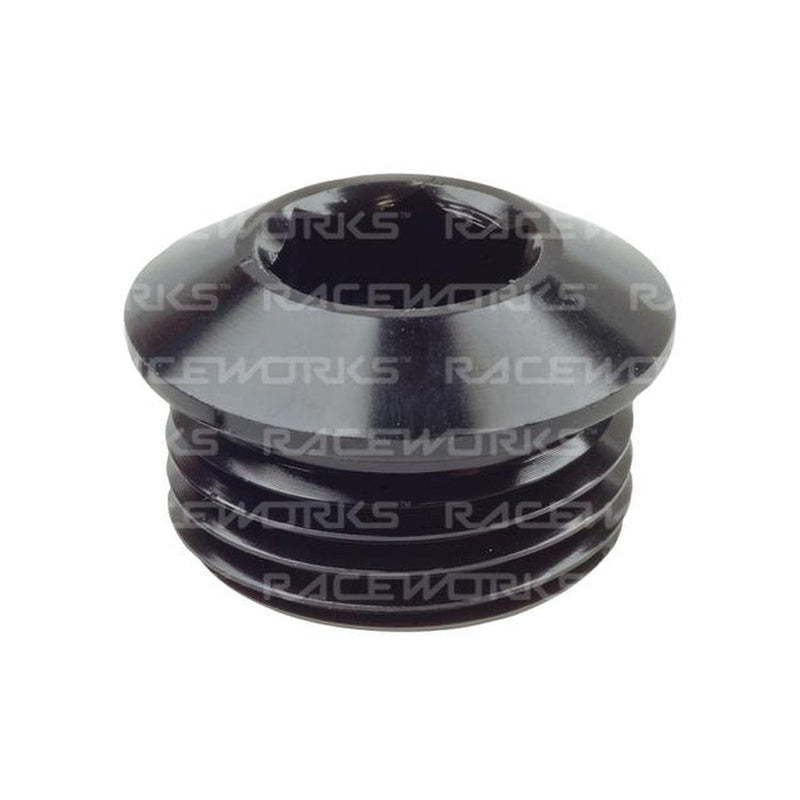 Raceworks An In Hex O-Ring Plug An-6