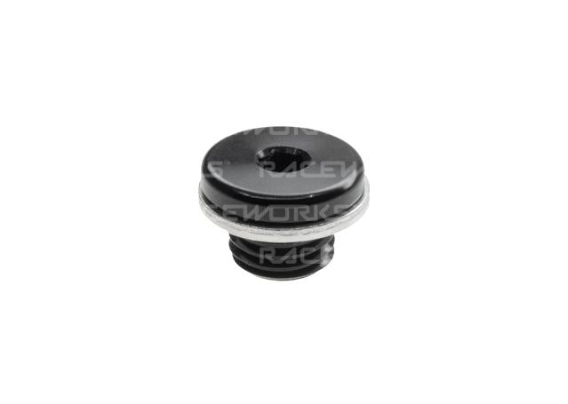 Raceworks M10x1.25 In-Hex Plug W/ Washer