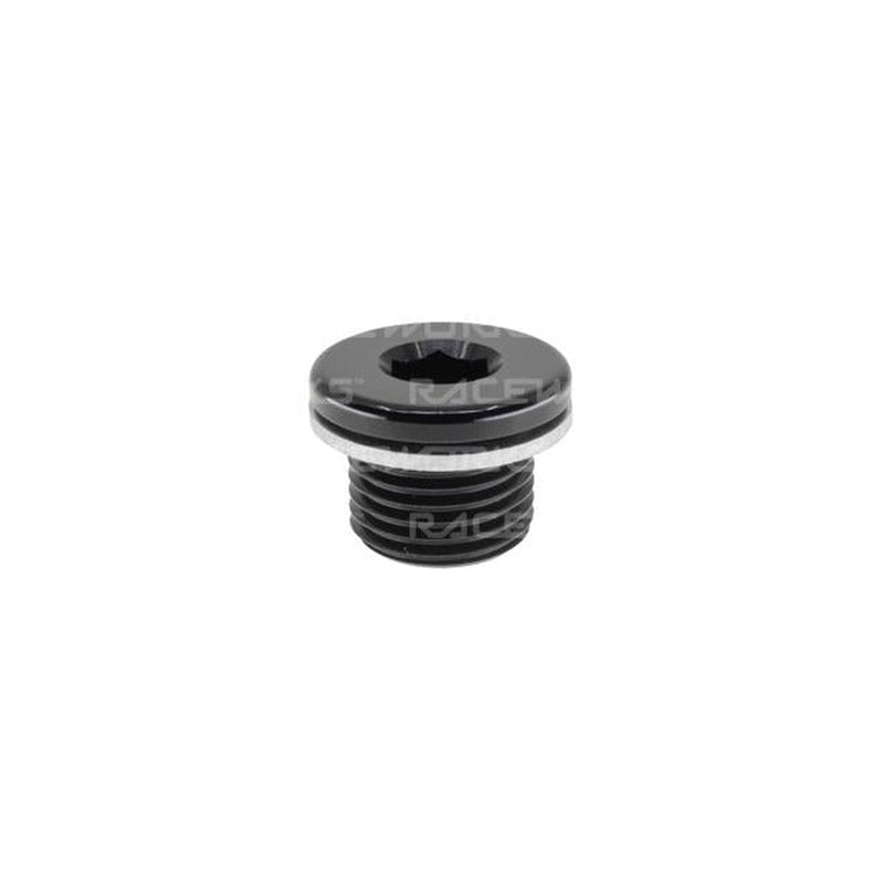 Raceworks M16x1.5 In-Hex Plug W/ Washer