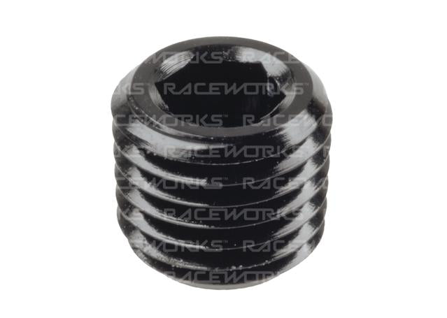 Raceworks Npt Plug 1/16