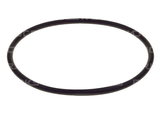 Raceworks Replacement O-Ring On Flush Fuel Cell Filler Cap