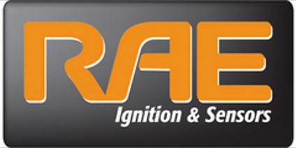 RAE Ignition Distributor DJ49571N