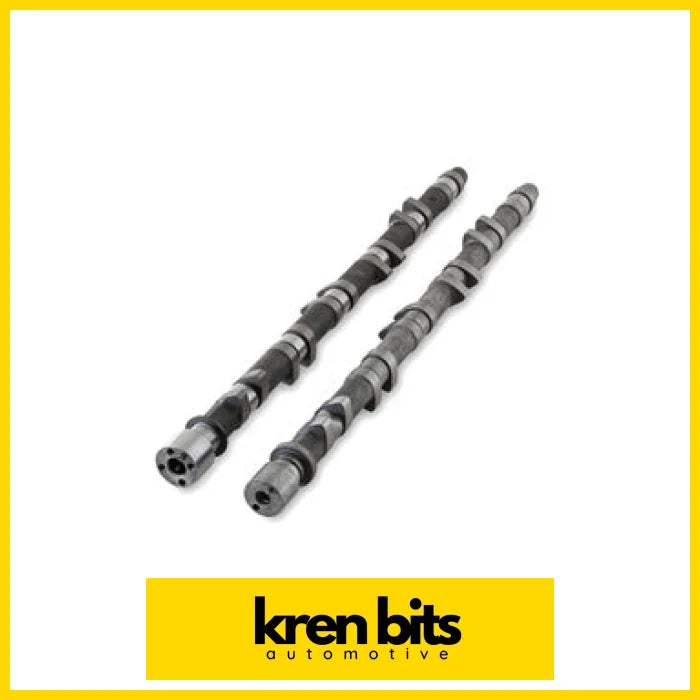 Rb25 Neo 244-A2 Camshaft Set