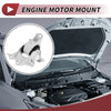 Honda Crown Road TG2 Engine Motor Mount (2016)