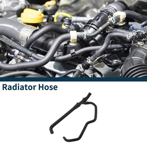 Porsche Panamera Radiator Hose (2010-2012)