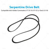 Holden Commodore VT VX VU VY VZ 5.7 Gen3 LS1 V8 Drive Belt (1997-2007)